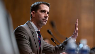 Tom Cotton presses Biden admin for details about border crosses on terrorist watchlist