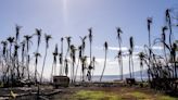 Maui sues cell carriers over wildfire warning alerts that were never received during service outages