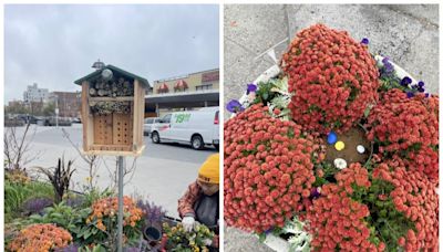 New NYC ‘bee hotel’ aims to attract pollinators to this Staten Island street