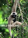 Wild Thailand