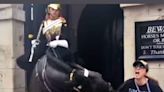 Watch: King’s Guard Horse Bites Tourist Trying To Get A Picture With It - News18