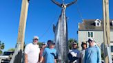 Anglers in S.C. Blue Marlin Invitational are catching big fish, with big money at stake