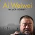 Ai Weiwei: Sem perdão