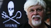 Detención de Paul Watson en Groenlandia por caza de ballenas