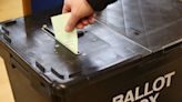 General Election 2024 candidates for Wells and Mendip Hills - full list