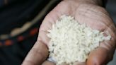 Sob grande procura, preço médio do arroz cresce 5,01% ao consumidor