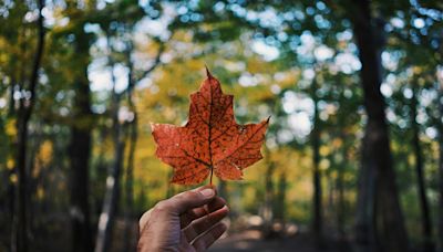 COLUMN: O Canada, our home on stolen land