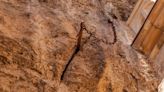 Mythical Sword’s Disappearance Brings Mystery to French Village