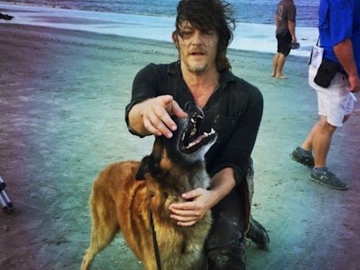 Morte de cachorro-ator de 'The Walking Dead' comove elenco e fãs da série