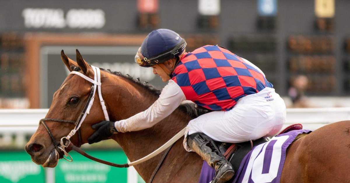 Gun Pilot Cruises Down Stretch In Churchill Downs Stakes