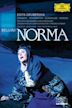 Norma