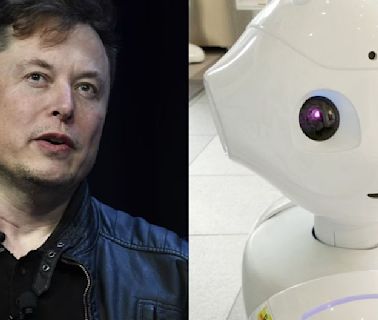 Elon Musk revela cuáles empleos no serán reemplazados por la IA