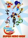 DC Super Hero Girls: Super Hero High