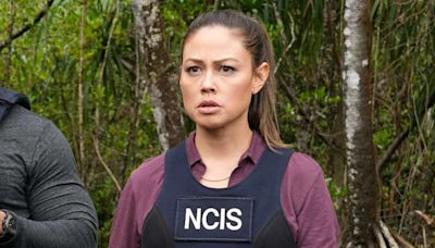 Vanessa Lachey Reacts to “NCIS: Hawai'i ”Cancellation as Fans Express Outrage Over Decision: 'Gutted'