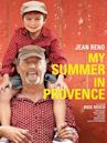 My Summer in Provence