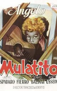 Il Mulatto