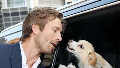 Demi Moore's Tiny Chihuahua Shoots Her Shot With Glen Powell's Dog on Instagram