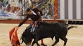 PP y Vox avalan que los menores puedan ir a las corridas de toros