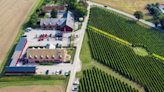Sweden seeks to be winemaking's next frontier