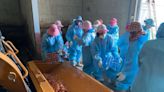 雲林古坑蛋雞場確診禽流感 三天撲殺1.5萬隻雞