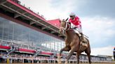 The Haiku Handicapper Presented By FanDuel Racing: 2024 Preakness Stakes