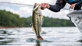 Bass Fishing 101: How to Catch Bucketmouths and Bronzebacks