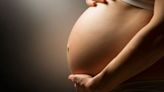 Lab-grown ‘mini-placentas’ help scientists understand pregnancy disorders