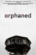 Orphaned