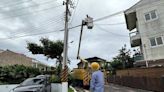 又是小動物！墾丁船帆石獼猴觸電亡 釀417戶停電半小時