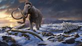 Genome study deepens mystery of what doomed Earth's last mammoths