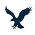 American Eagle (airline brand)