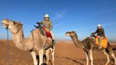 Carole Gariepy of Phillipston: Finding milkweed surprise on the Sahara Desert