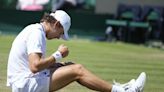 Novak Djokovic moves into Wimbledon semifinals when Alex de Minaur withdraws