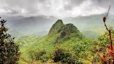 La diversidad de la naturaleza lleva a una mejor salud mental