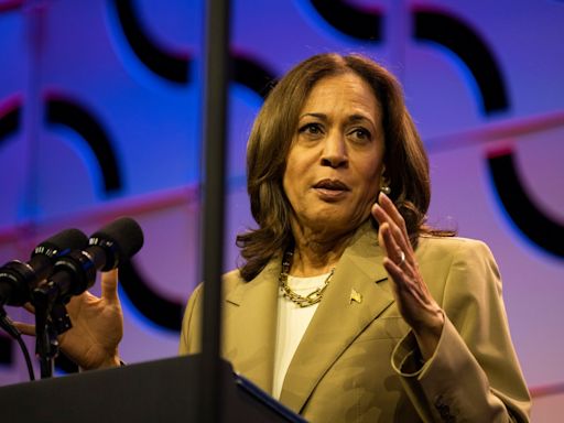 Kamala Harris tiene el apoyo de 531 delegados de cara a la nominación, según informes - El Diario NY