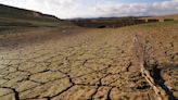 Europa sufre los efectos del cambio climático: “Ya está causando estragos en la vida y la salud de las personas”