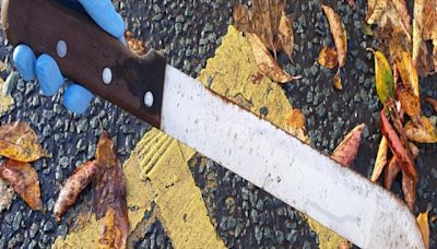 Machete on primary school grounds leads to work to put children on right path
