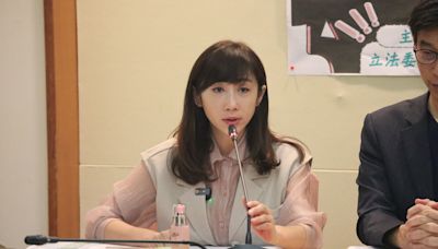 徐巧芯替加害者開協調會遭質疑 許淑華：應說清楚勿造謠 | 蕃新聞