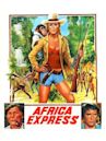 Africa Express (film)