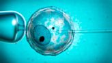 Científicos logran generar precursores de espermatozoides y óvulos con células iPS