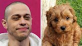 How Pete Davidson stepped in PETA's dog-breeder doodoo