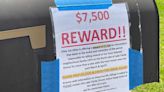 Nonprofit offers $7,500 reward for information leading to arrest of Lake Clarke Shores 'cat killer'