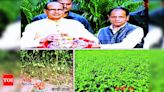 Icar Unveils Kashi Manuspinach & Tapas Tomato | Varanasi News - Times of India