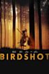 Birdshot (film)