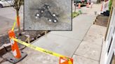 Chicago rat hole in Roscoe Village removed by city