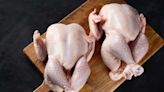 Exportações de carne de frango para a China devem voltar em 15 dias | Agro Estadão