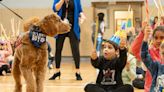 Thanks to Chewie, Clifton schools want to expand therapy dog program