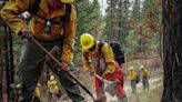 Programa pionero del estado de Washington para convertir a los reclusos en bomberos forestales - La Tercera