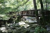 Tollymore Forest Park