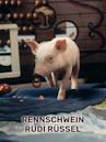 Rennschwein Rudi Rüssel